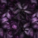 Dark Clematis Silk Scarf by Karolina Laskowska